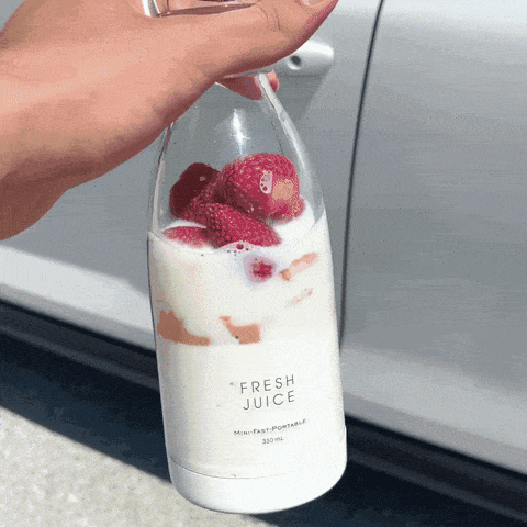 Mini Blender Portable