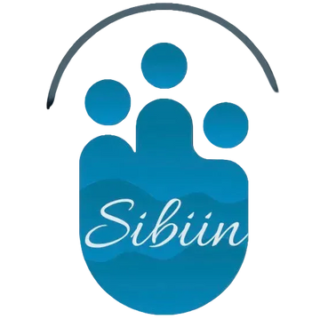 Sibiin