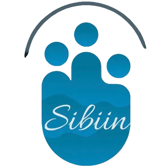 Sibiin